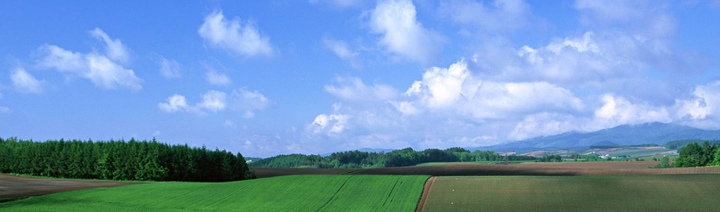 hospital incinerator